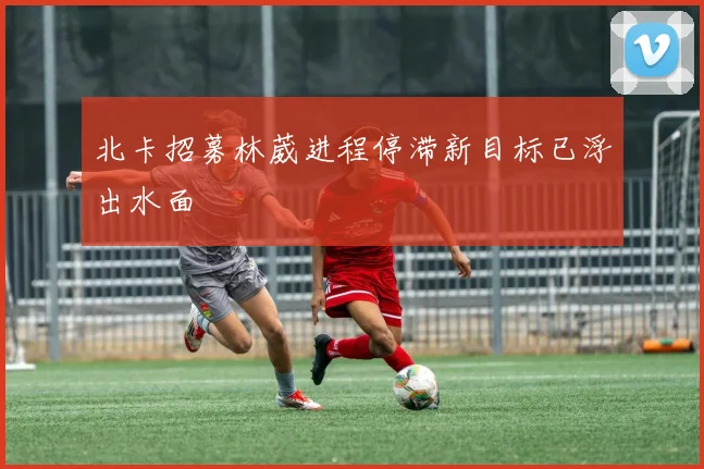 北卡招募林葳进程停滞新目标已浮出水面